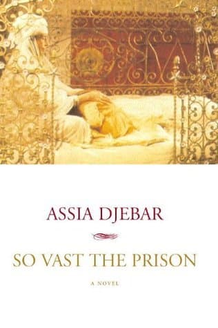 So Vast the Prison book cover