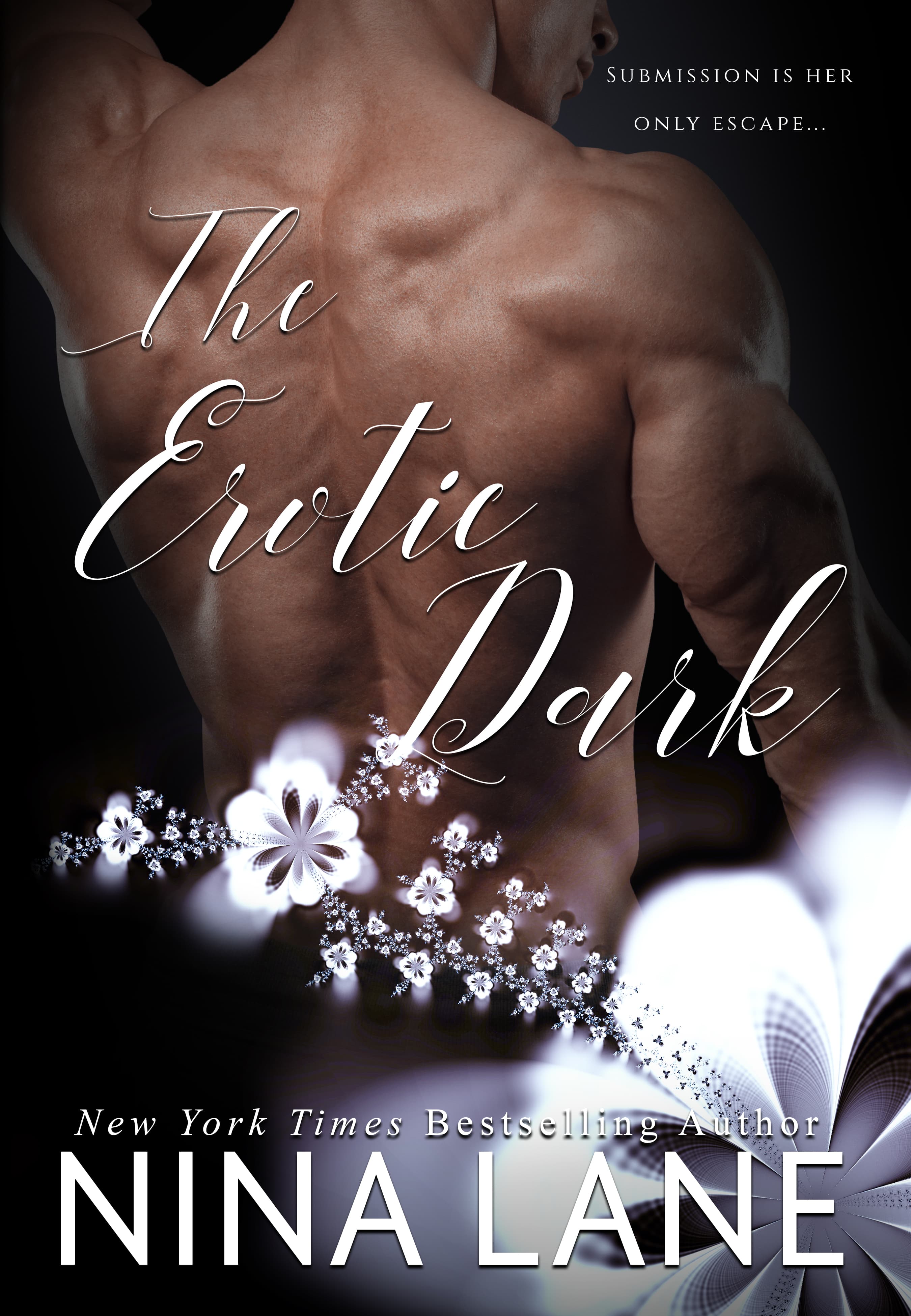The Erotic Dark book cover
