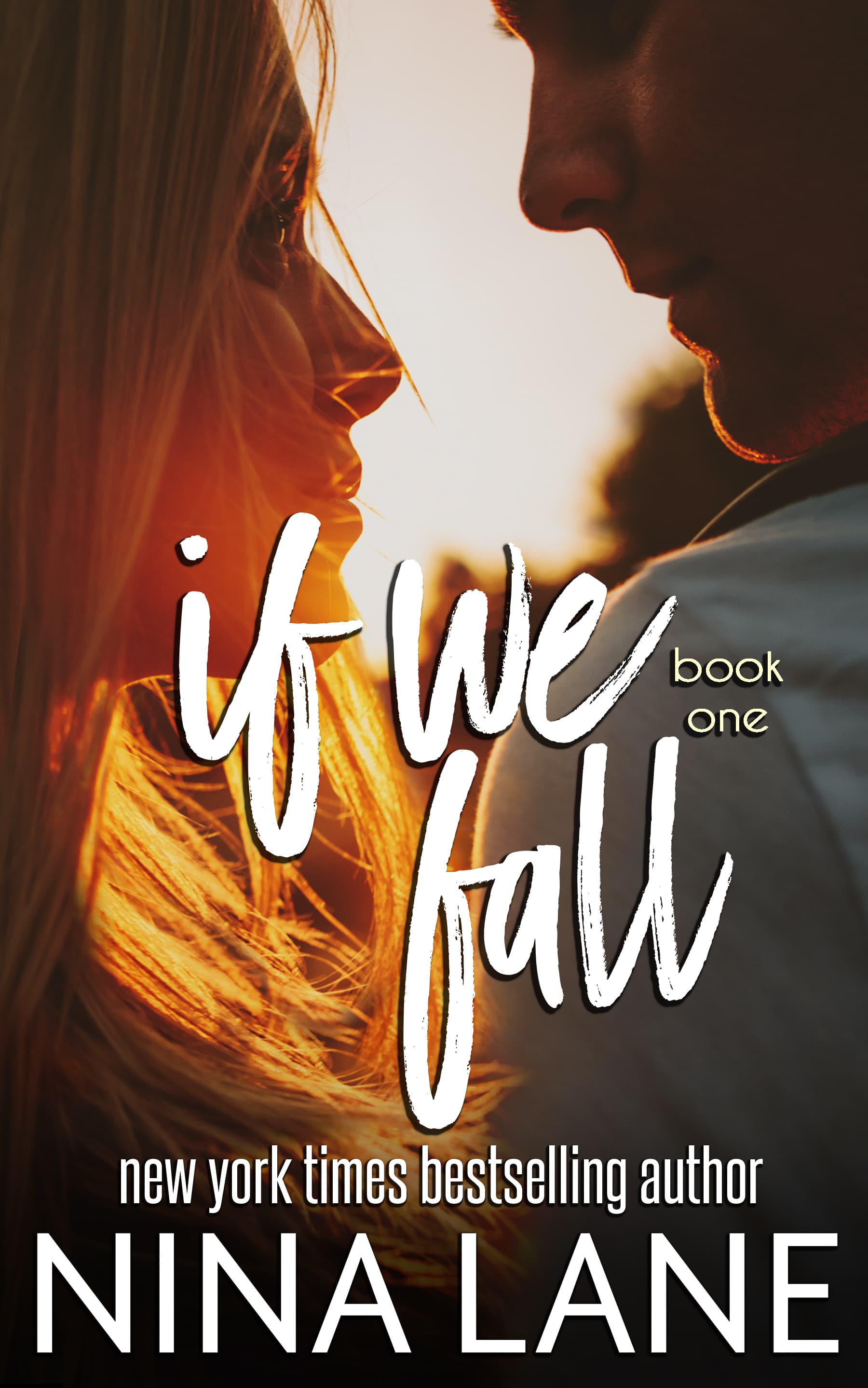 If We Fall book cover