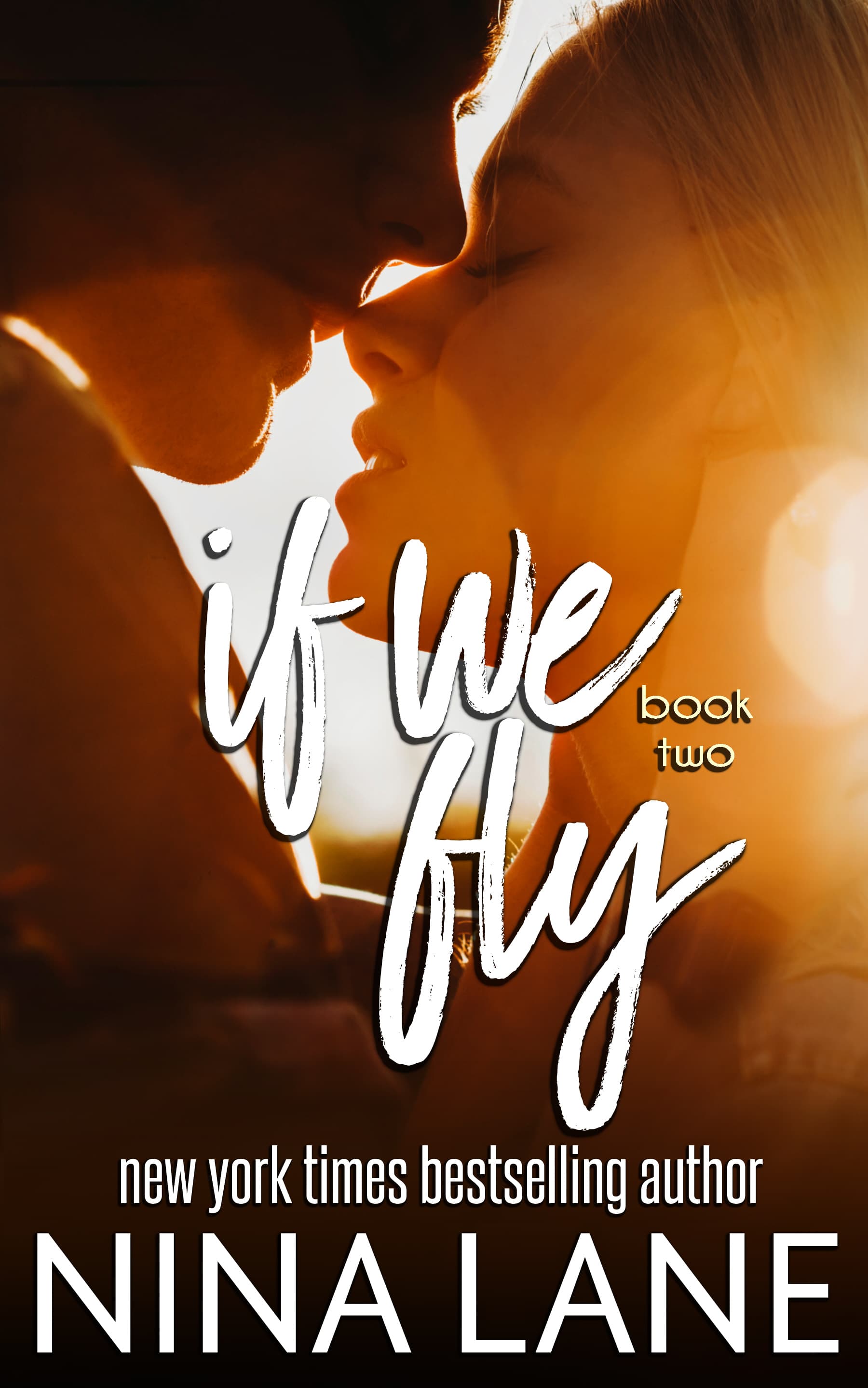 If We Fly book cover