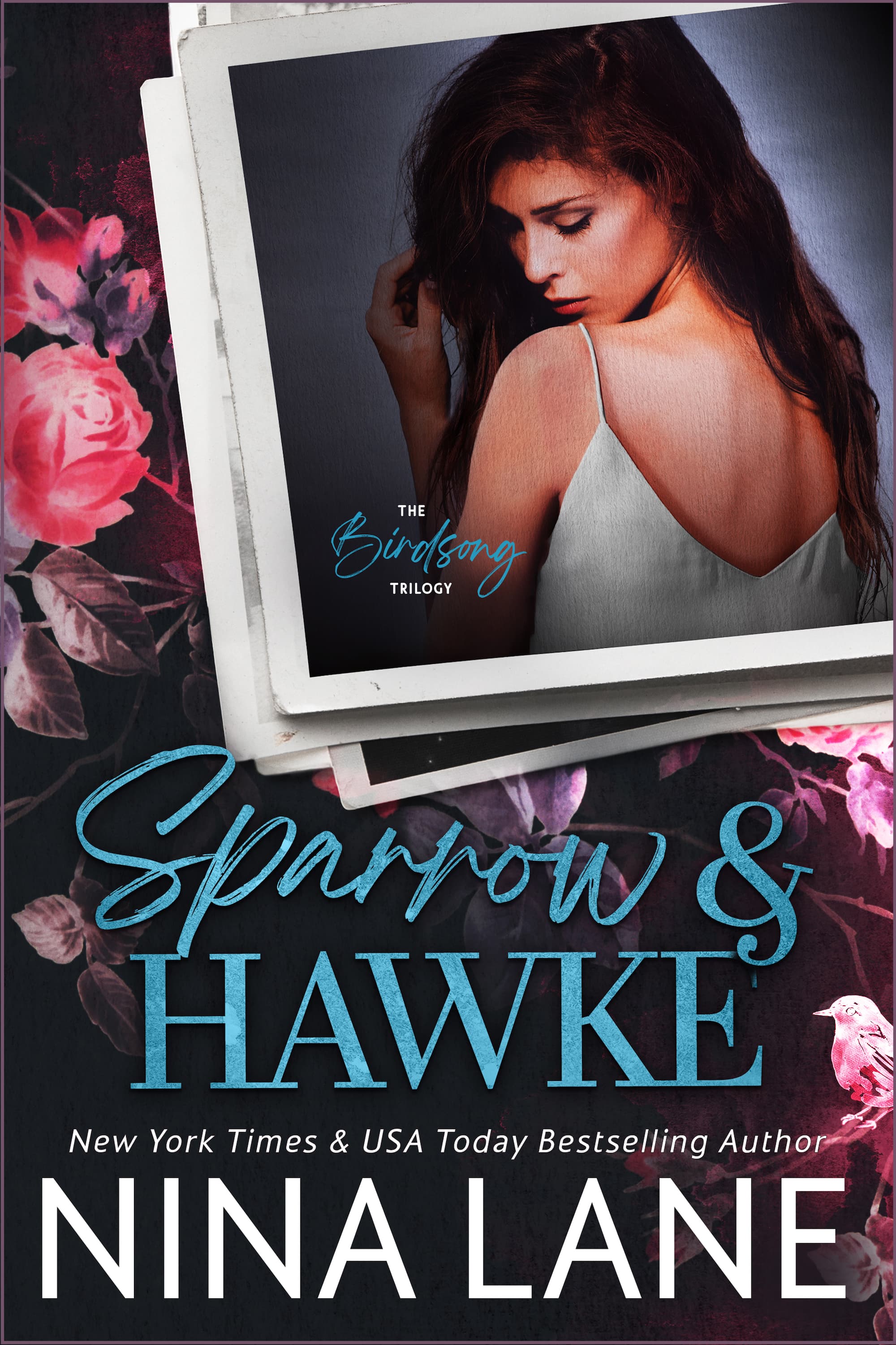 Sparrow & Hawke book cover