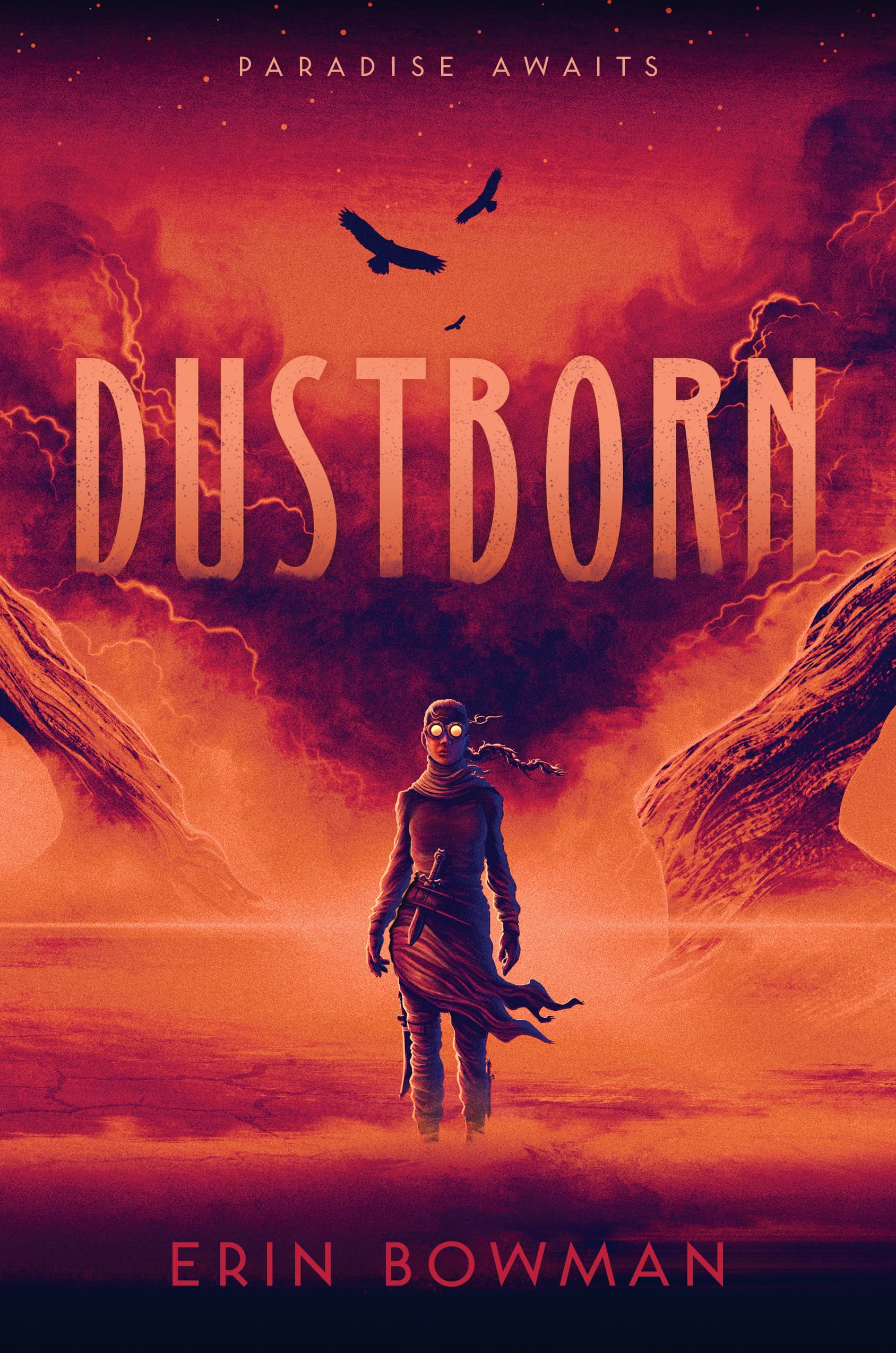 Dustborn book cover
