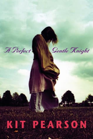 A Perfect Gentle Knight book cover