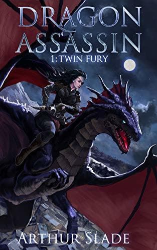 Twin Fury book cover