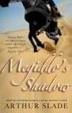 Megiddo's Shadow book cover