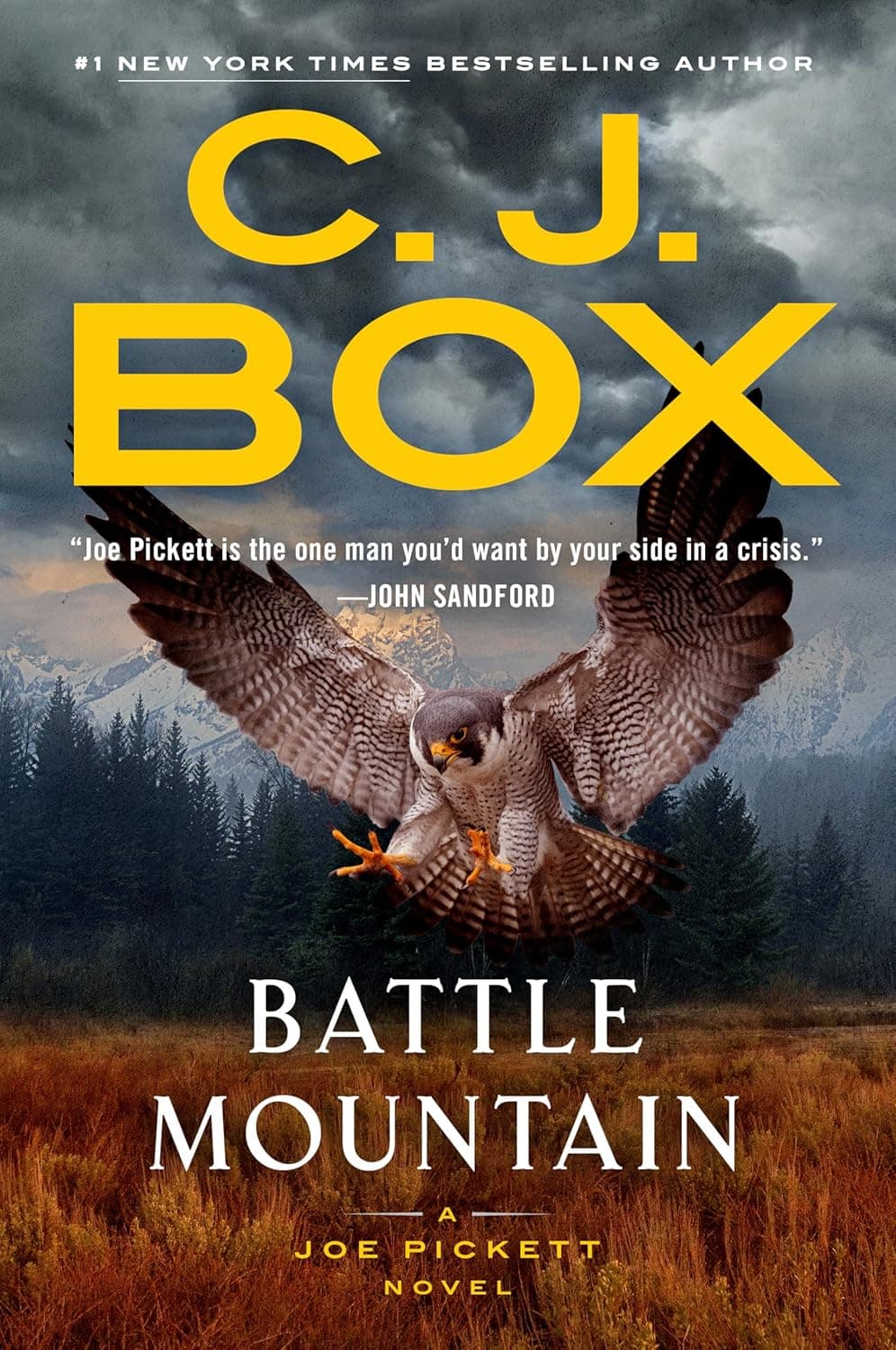 Battle Mountain book cover