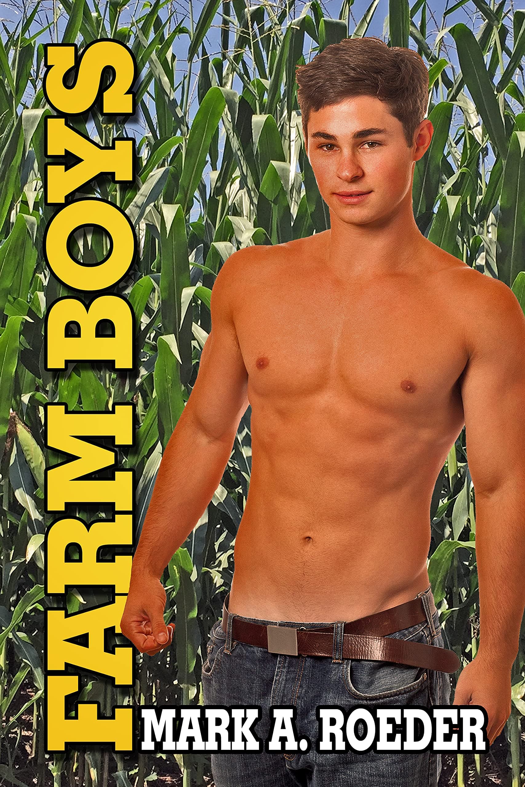 Farm Boys book cover