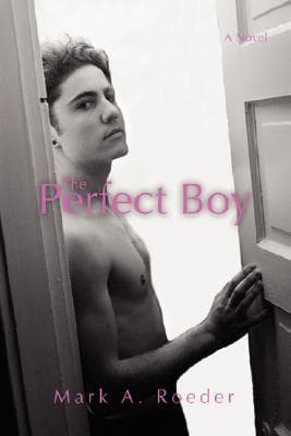 The Perfect Boy book cover