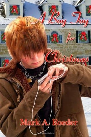 A Boy Toy for Christmas book cover