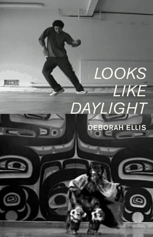 Looks Like Daylight book cover