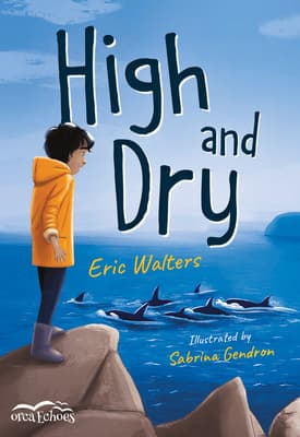 High and Dry book cover