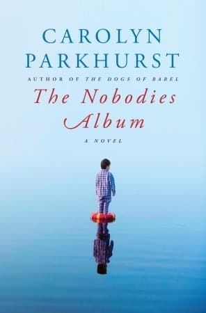 The Nobodies Album book cover