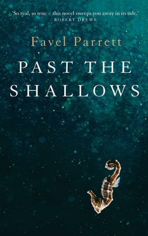 Past the Shallows book cover