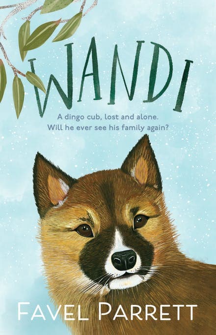 Wandi book cover
