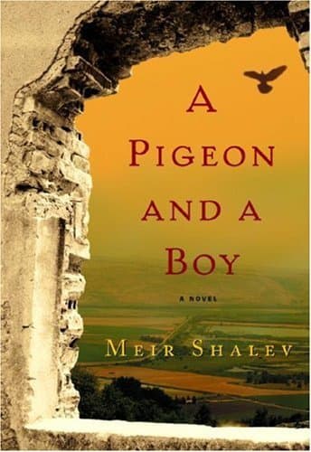 A Pigeon and a Boy book cover