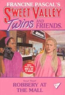 Robbery at the Mall book cover