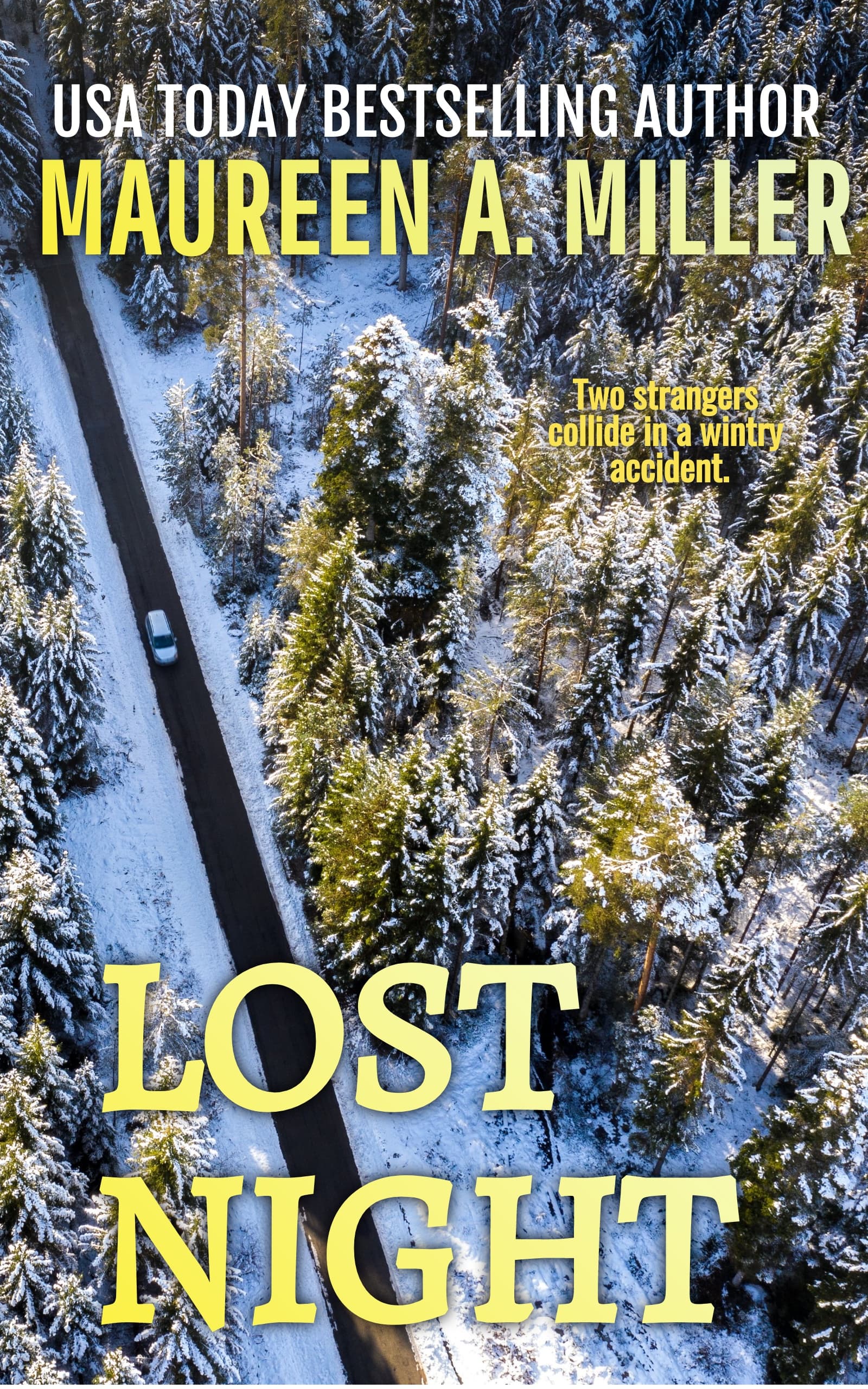 Lost Night book cover