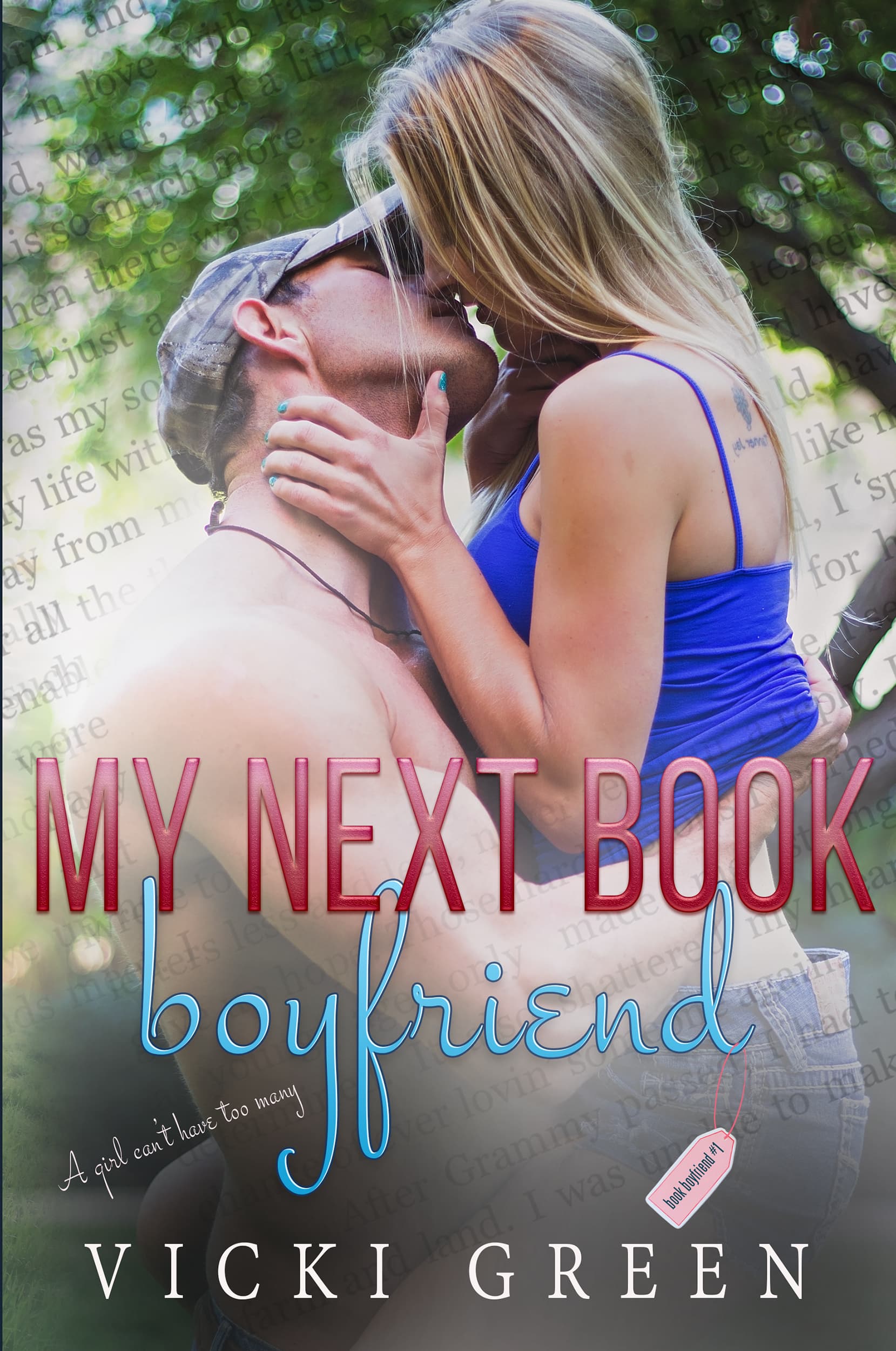 My Next Book Boyfriend book cover