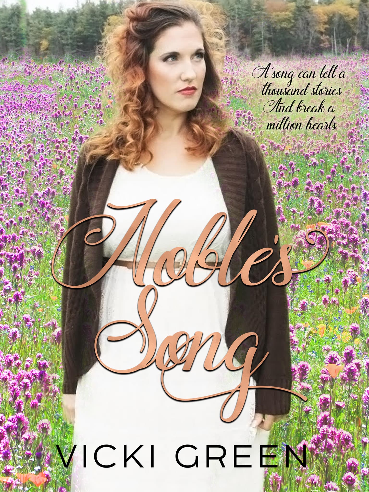 Noble's Song book cover