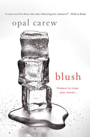 Blush book cover
