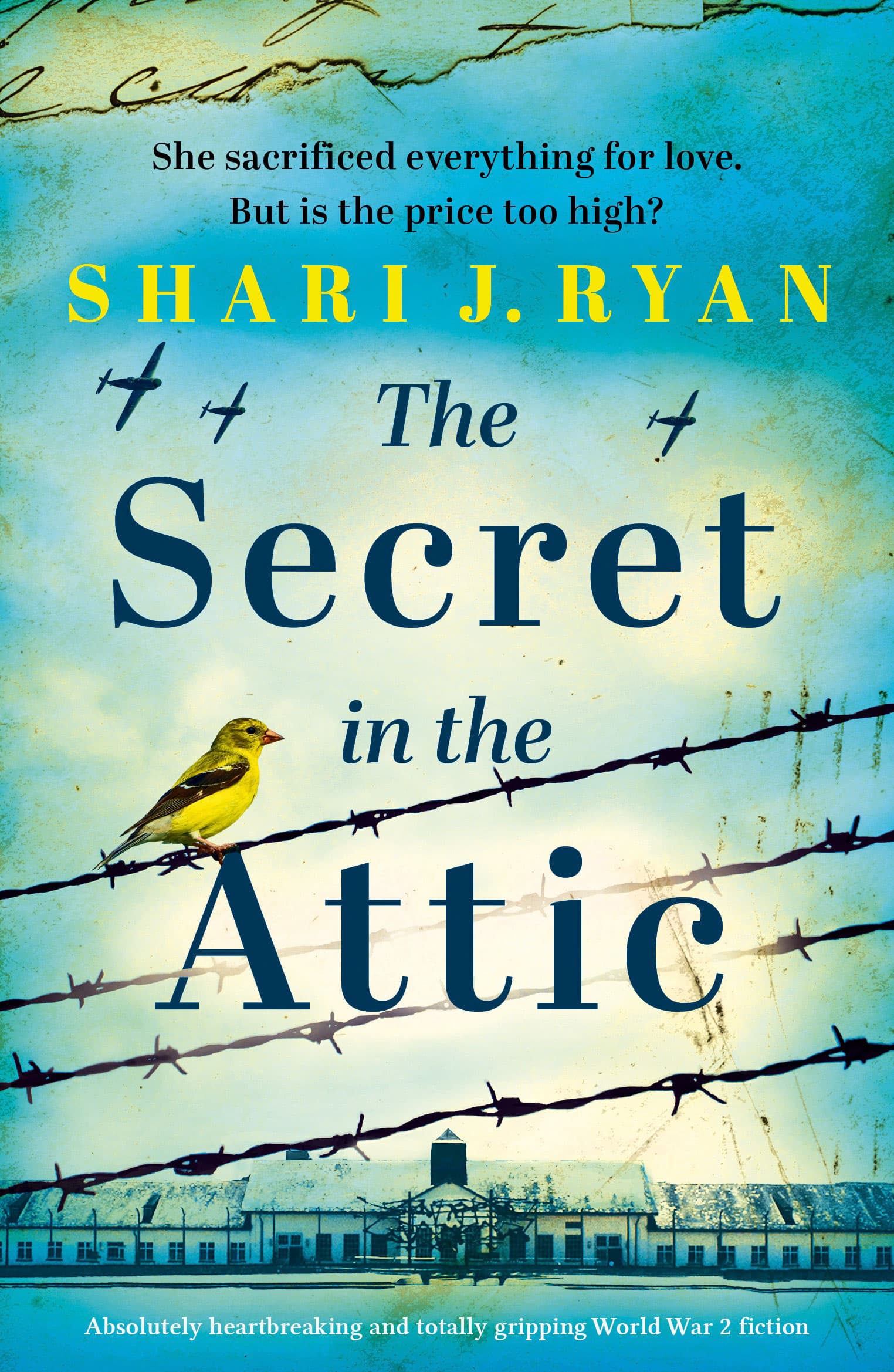 The Secret in the Attic book cover