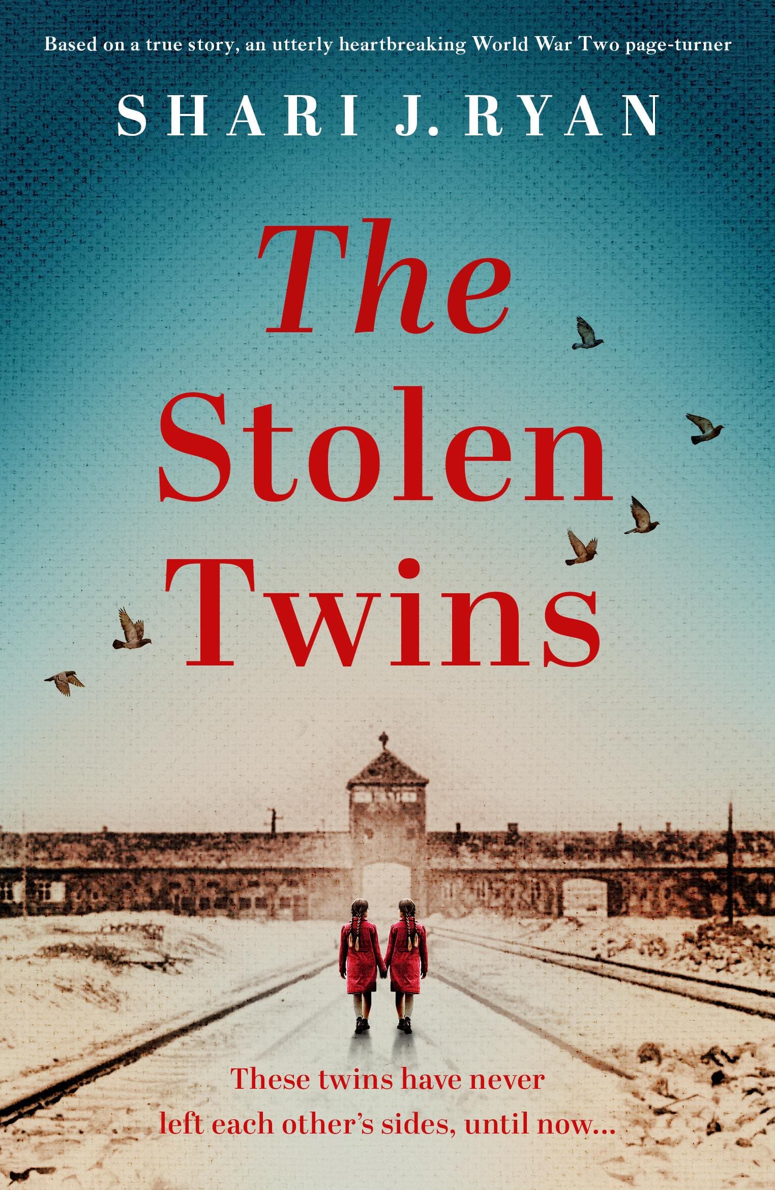 The Stolen Twins book cover