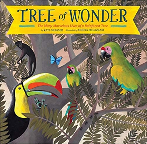 Tree of Wonder: The Many Marvelous Lives of a Rainforest Tree book cover