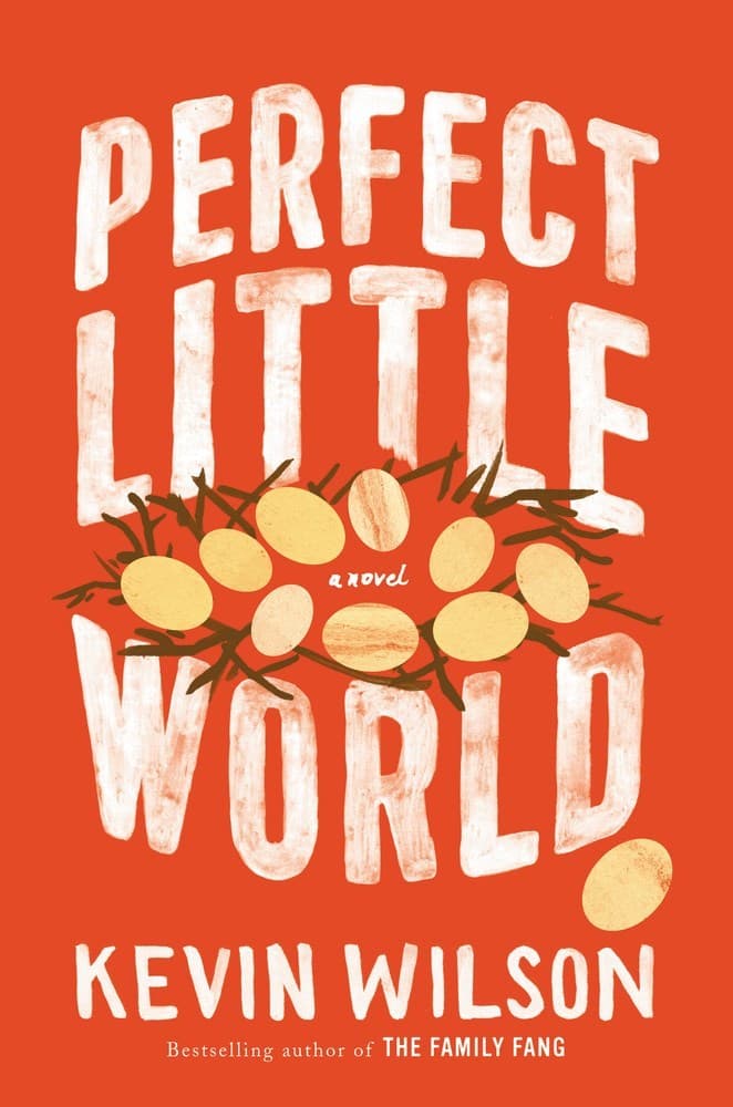 Perfect Little World book cover