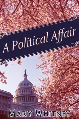 A Political Affair book cover