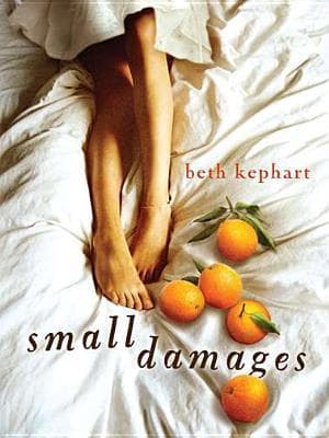 Small Damages book cover