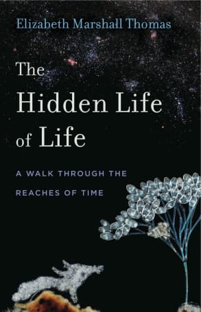 The Hidden Life of Life: A Walk through the Reaches of Time book cover