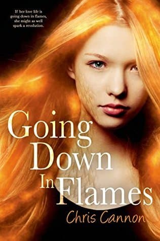 Going Down in Flames book cover