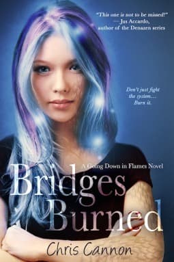 Bridges Burned book cover