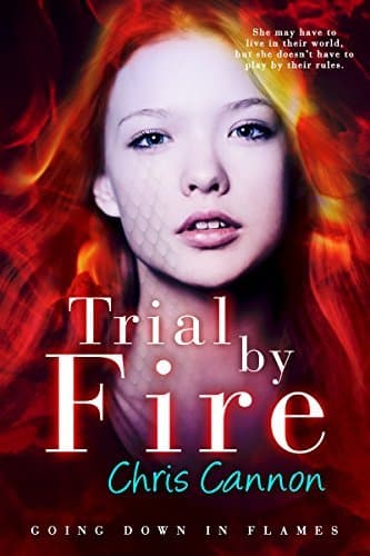 Trial By Fire book cover