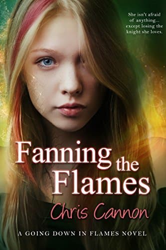 Fanning the Flames book cover