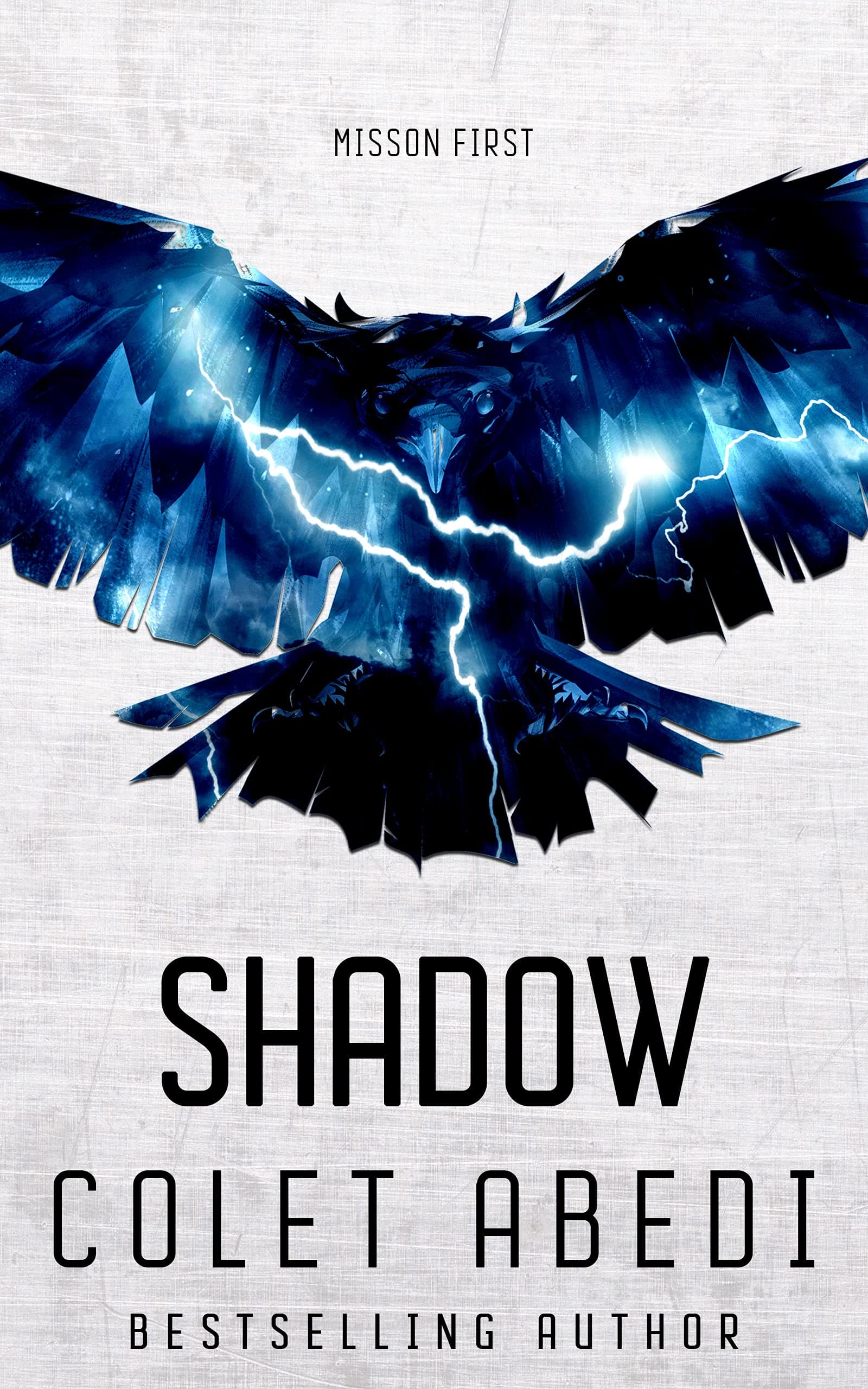 Shadow book cover