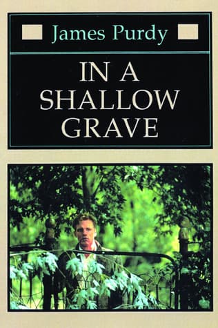 In a Shallow Grave book cover