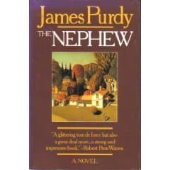 The Nephew book cover