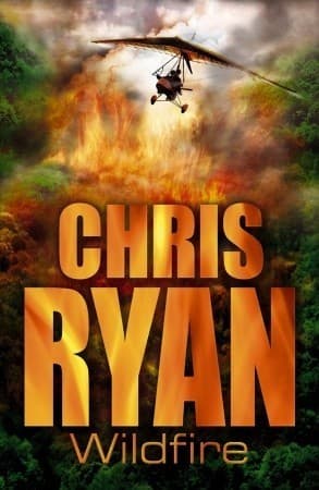 Wildfire book cover