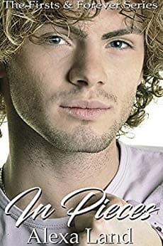 In Pieces book cover