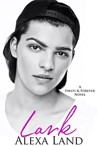Lark book cover