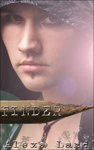 Tinder book cover