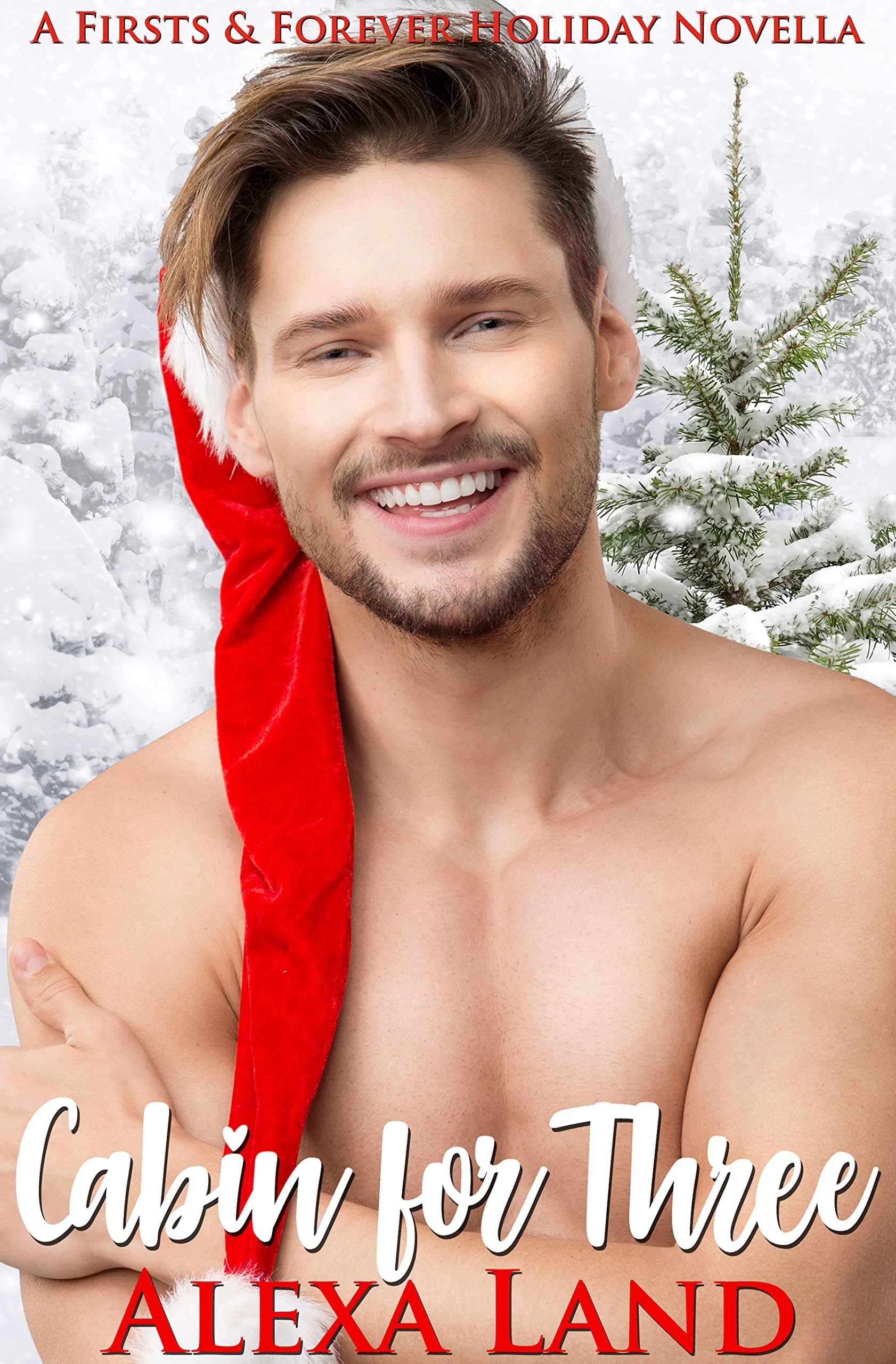 Cabin for Three book cover
