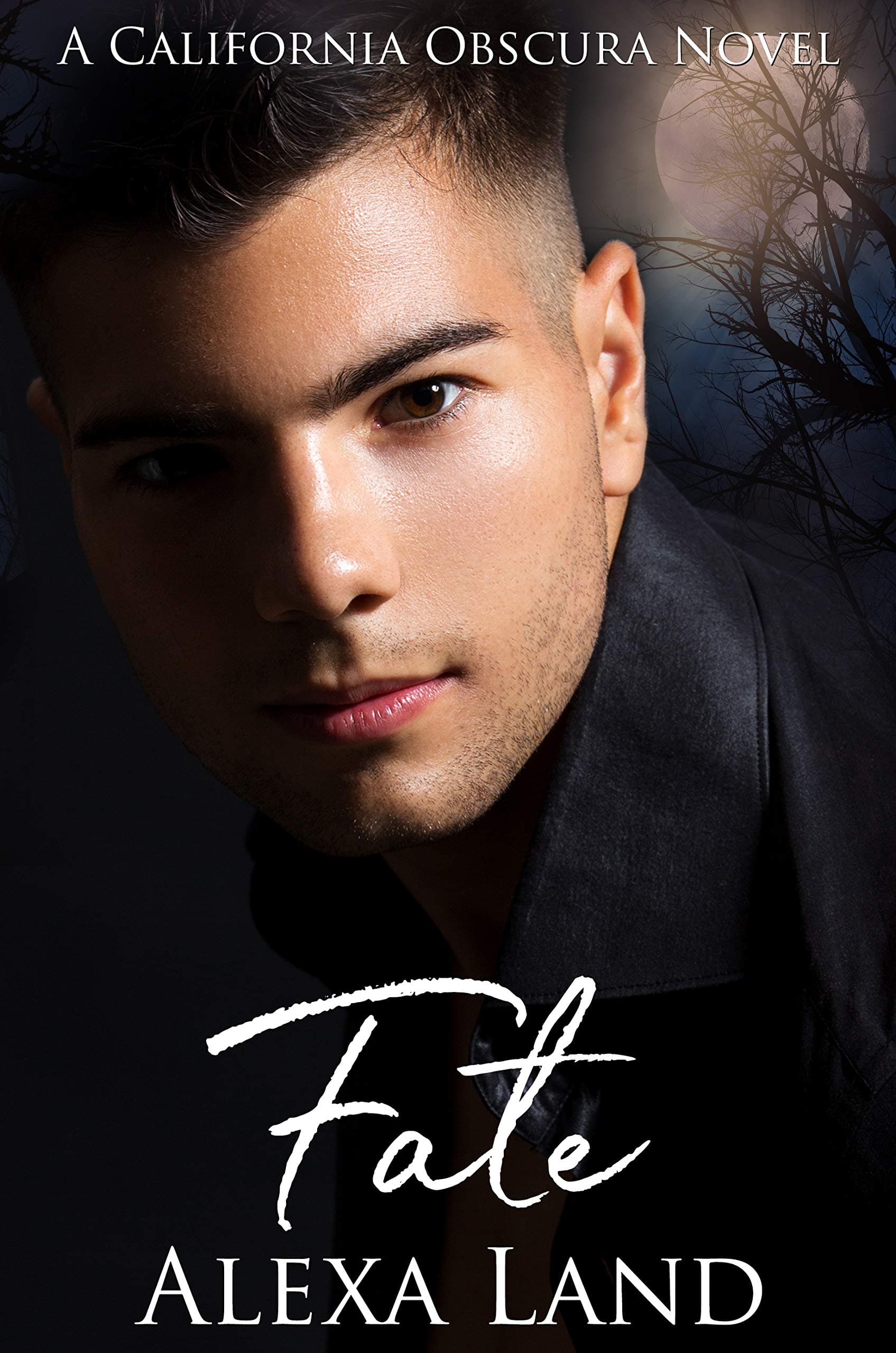 Fate book cover