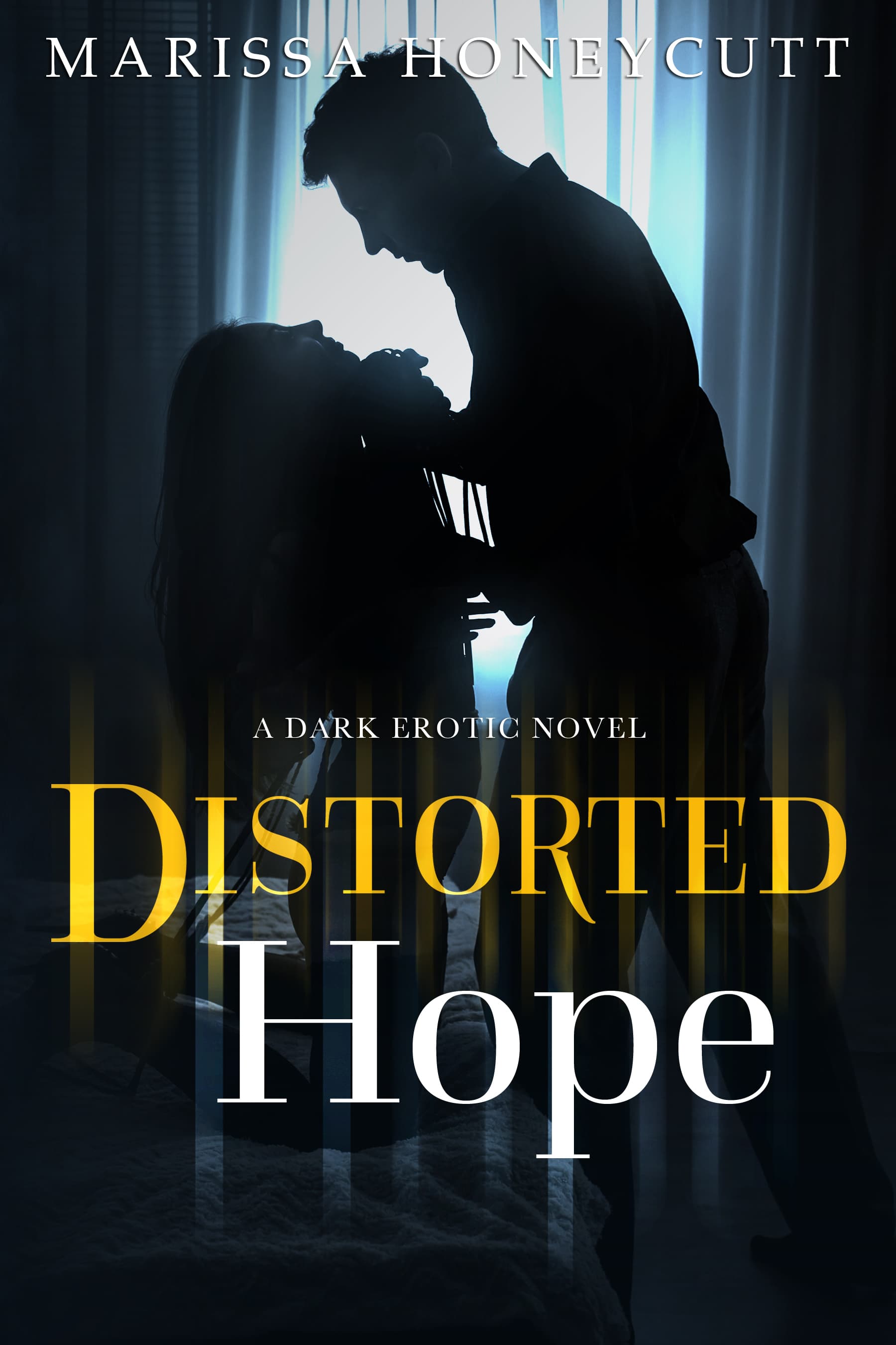 Distorted Hope book cover