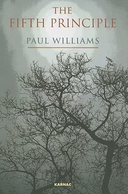 The Fifth Principle book cover