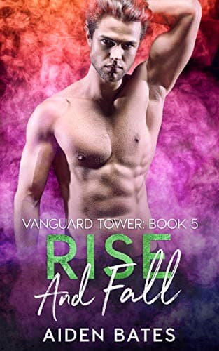 Rise and Fall book cover