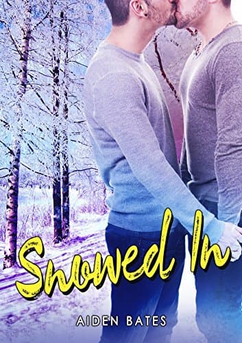 Snowed In book cover