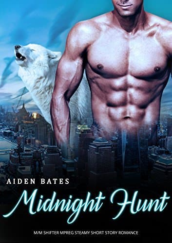Midnight Hunt book cover