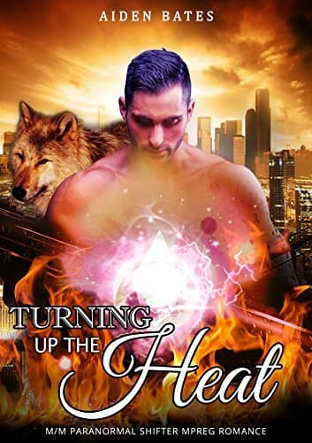 Turning Up The Heat book cover